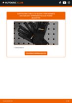 Cambio Juego de cables de encendido FORD bricolaje - manual pdf en línea