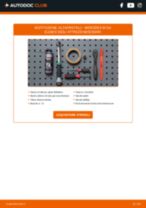 Cambio Intercooler FORD Tourneo Custom: guida pdf