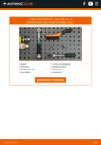 NV300 Platform/Chassis (X82) javítási és kezelési útmutató pdf