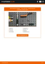 Koplamp matrix LED veranderen SMART ROADSTER: instructie pdf