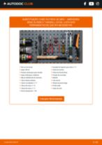 PDF manual sobre manutenção de Classe E T-modell (S124) E 250 TD (124.186)