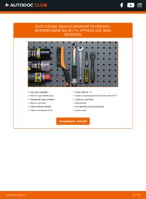 Sostituzione di Braccetti oscillanti SLK R171 200 Kompressor (171.442)