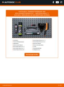 Wie der Ersatz vollführt wird: Thermostat 310 D 2.9 Mercedes T1 602