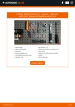 Manuální PDF pro údržbu Tigra Mk I Kupé (S93) 1.6 16V