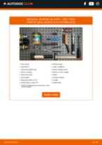 OPEL Tigra Twintop (X04) 2006 navodila za popravilo in vzdrževanje