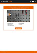 OPEL Õhulugeja andur vahetamine DIY - online käsiraamatute pdf