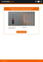 SEAT ALTEA XL (5P5, 5P8) Luftfilter: Schrittweises Handbuch im PDF-Format zum Wechsel