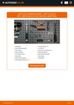 Gebührenfreies Austauschhandbuch für den TOLEDO 2011 im PDF-Format