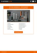 Werkstatthandbuch für ROOMSTER (5J) 1.6 online