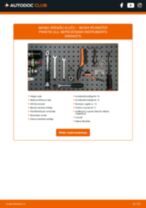 Skoda Roomster Praktik 2009 lietotāja rokasgrāmata