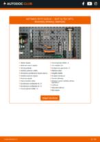 Kaip pakeisti ir sureguliuoti Rato guolis SEAT ALTEA: pdf pamokomis