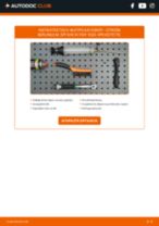 Πώς αλλαγη Φίλτρο καυσίμων ντίζελ και βενζίνη CITROËN BERLINGO Box (M_) - εγχειριδιο online