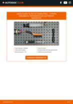 Como substituir Filtro de Combustível diesel e gasolina CITROËN BERLINGO Box (M_) - manual online
