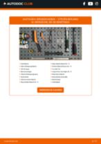 ABS Sensor wechseln CITROËN BERLINGO: Werkstatthandbuch