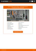 Come cambiare Flussometro Citroen Xantia X2 - manuale online