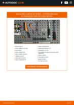 Manualul online pentru schimbarea Disc de frână la CITROËN BERLINGO Box (M_)