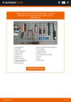Αντικατάσταση Αντλία υποπίεσης ALPINA μόνοι σας - online εγχειρίδια pdf