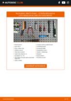 PDF manual pentru întreținere BERLINGO
