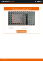 Soli-pa-solim PDF apmācība kā nomaināms PEUGEOT 205 Box Gaisa filtrs