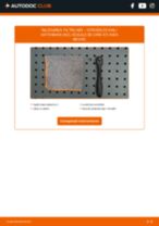 Cum schimb Filtru de aer CITROËN ZX Kasten / Schrägheck (N2) - tutoriale online