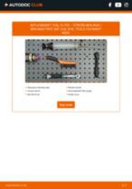 Berlingo / Berlingo First (MF, GJK, GFK) 1.9 D (MFWJZ) workshop manual online