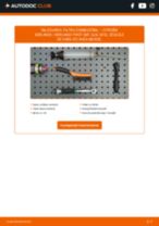 PDF manual pentru întreținere Berlingo / Berlingo First (MF, GJK, GFK) 2.0 HDI 90 (MFRHY)