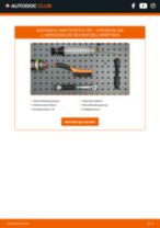 Brauchbare Handbuch zum Austausch von Kraftstofffilter beim CITROËN BX