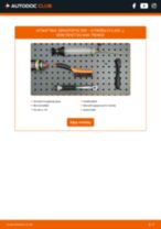 DIY-manual for utskifting av Drivstoffilter i CITROËN C15 2006