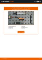 DIY-manual för byte av Bränslefilter i PEUGEOT 205