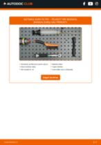 Peržiūrėk mūsų informatyvias PDF pamokas apie PEUGEOT 306 (7B, N3, N5) techninę priežiūrą ir remontą