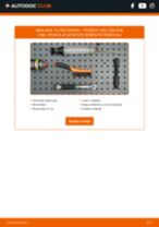 Kako zamenjati dizel in bencin Filter goriva PEUGEOT 405 I (15B) - vodič spletu