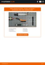 PEUGEOT 406 Sedan 2001 javítási és kezelési útmutató pdf