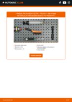 Podrobný PDF tutorial k výmene PEUGEOT 406 Break (8E/F) Palivový filter