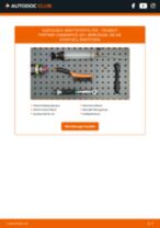PEUGEOT PARTNER Combispace (5F) Benzinfilter austauschen: Online-Handbuch zum Selbstwechsel