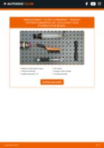 Le guide professionnel de remplacement pour Filtre à Huile sur votre Peugeot Partner Combispace 1.9 D