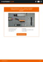 Salona filtrs: profesionāla rokasgrāmata tā nomaiņai tavam Peugeot Partner Combispace 5F 1.9 D