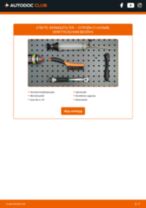 Steg-för-steg-guide i PDF om att byta Bränslefilter i CITROËN C15 Estate