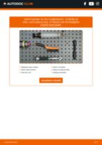 Manuali officina CITROËN ZX gratis: tutorial di riparazione