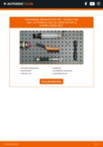 Stap-voor-stap PDF-handleidingen over het veranderen van PEUGEOT 309 Kasten / Schrägheck (10S, 3S) Brandstoffilter