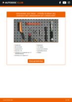 Vervang het Dynamoriem van de CITROËN ZX Break (N2) met onze online pdf-handleiding