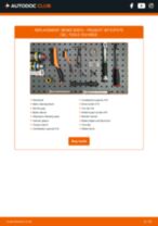 307 Break (3E) 1.6 HDi 110 workshop manual online