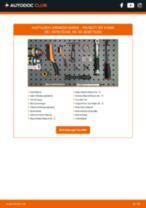 Werkstatthandbuch für 307 Break (3E) 1.6 HDi 110 online
