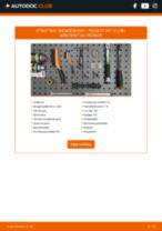 Bytte Bremseskiver lakkerte (coated) PEUGEOT 307 CC (3B): handleiding pdf