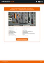 La guía profesional para realizar la sustitución de Amortiguadores en tu Citroen C2 Enterprise 1.4 HDi
