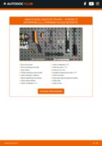 Consulta os nossos tutoriais informativos em PDF para a manutenção e reparações de CITROËN C2 ENTERPRISE