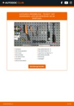 PEUGEOT 1007 (KM_) Bremsbeläge: Schrittweises Handbuch im PDF-Format zum Wechsel