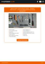 Manual online sobre a substituição de Calços de travão em PEUGEOT 208 Box