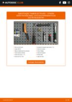 PDF manual sobre manutenção de XSARA PICASSO (N68) 2.0 16V