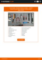 Käsiraamat PDF XSARA PICASSO (N68) 2.0 16V hoolduse kohta