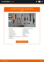 PDF manual pentru întreținere XSARA PICASSO (N68) 2.0 16V